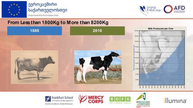 Livestock Week: FinExCoop Third International AgriBusiness Forum | Day 4 | Part 2 | 21.10.2022 смотреть онлайн