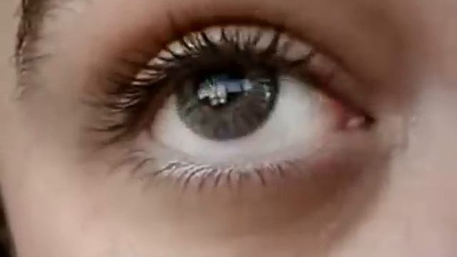 Цветные линзы Alcon Freshlook Colors