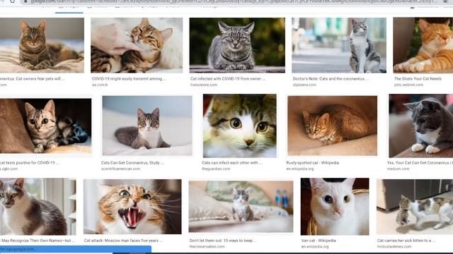 Machine Learning - 1 | Machine Learning Introduction | Sinhala смотреть онлайн
