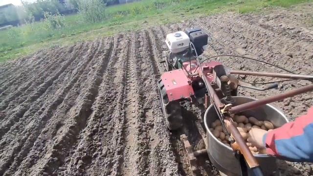 посадка бульбы! смотреть онлайн