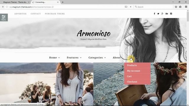 Armonioso - Personal & Magazine WordPress Responsive Blog Theme смотреть онлайн