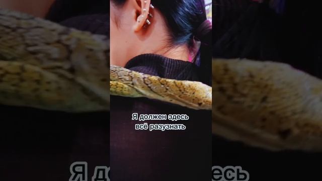 Самый умный и милый варан в нашем центре ? #варан #рептилии #экзотика #animals #животные #дети смотреть онлайн