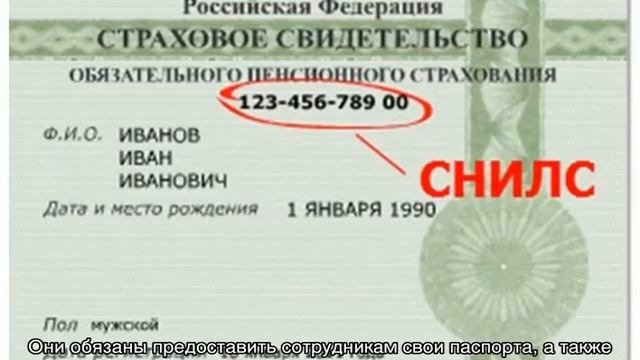 Какие документы нужны для получения СНИЛС смотреть онлайн
