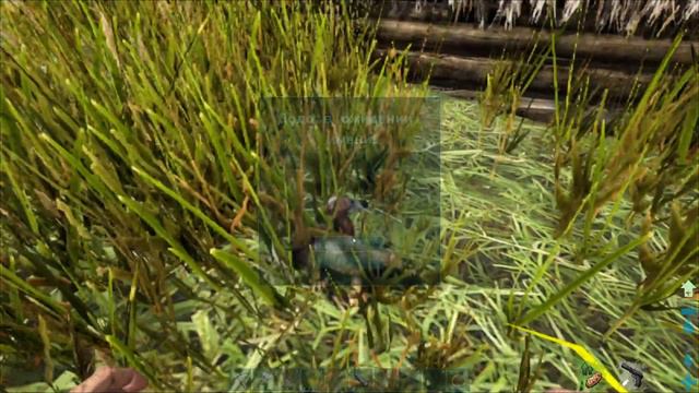 ARK The Hunted - АЛЛОЗАВР ПРОТИВ МЕГАЛОДОНА В АРК на карте Lost Island #5 смотреть онлайн