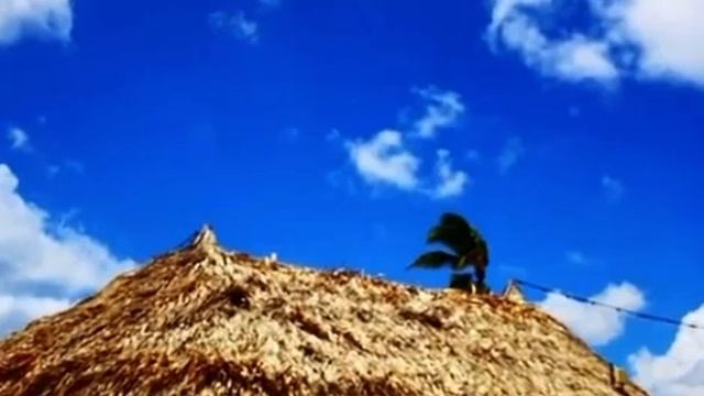 TEDE - BEACH BAR /SUMMER HAMMER 21 SNIPPET смотреть онлайн