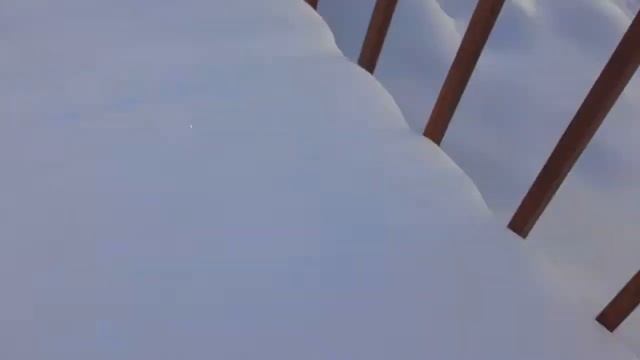 Я на даче !!! Зоопарк на даче??? ?? смотреть онлайн
