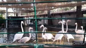 Турция Анталия, отель Глория Верде, Глория Гольф отпуск