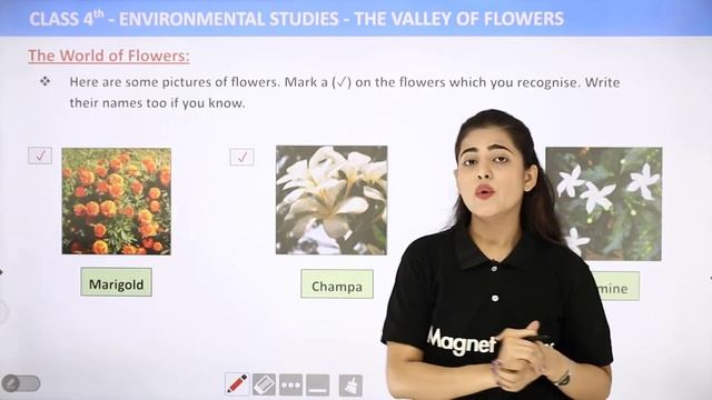 Madhubani Art - The Valley of Flowers | Class 4 EVS смотреть онлайн