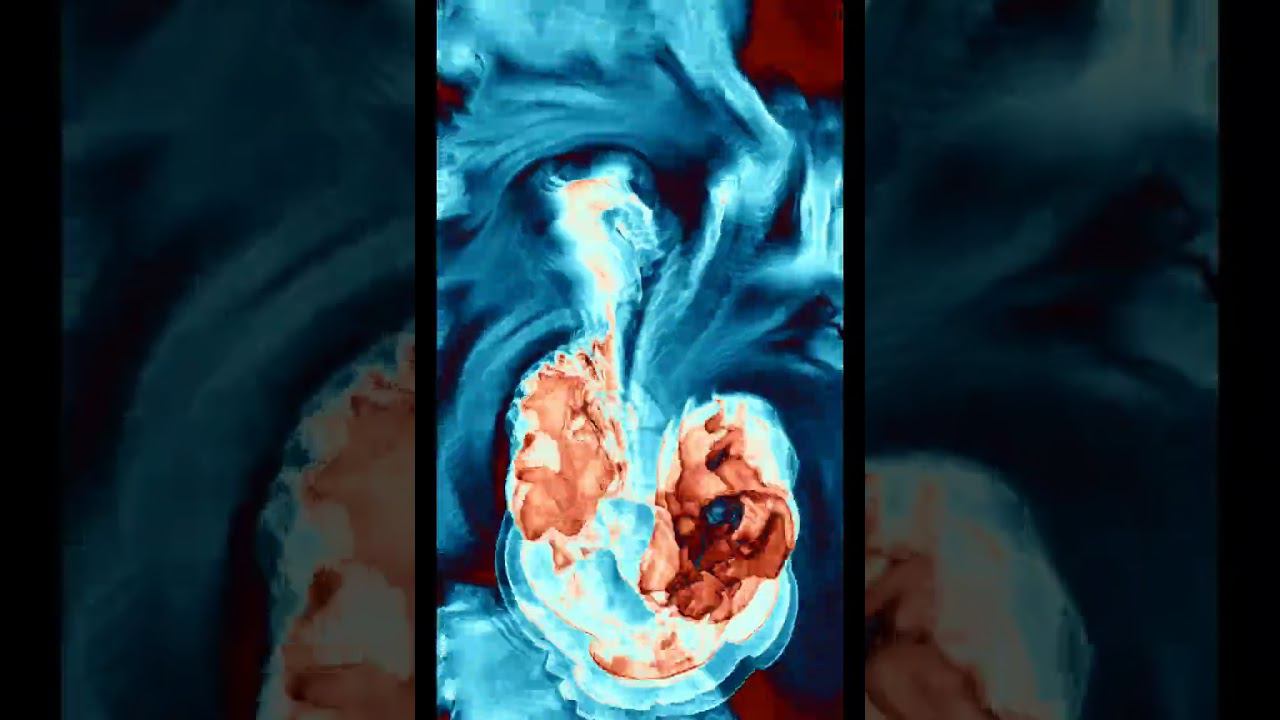 Magic clip#shortsclip #shortsfunny смотреть онлайн