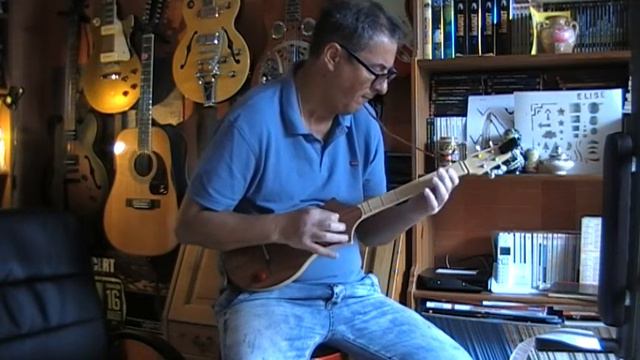 Hotel California - Eagles Cover - Seagull Merlin смотреть онлайн