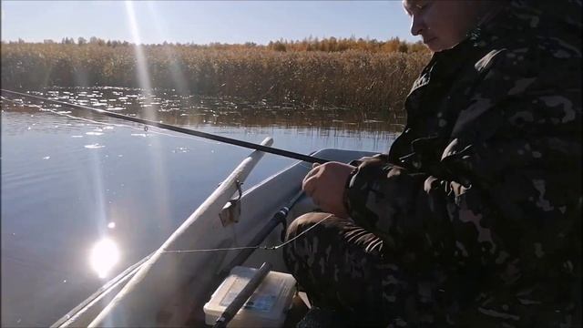 Осеняя рыбалка в солнечный день на Селигере смотреть онлайн
