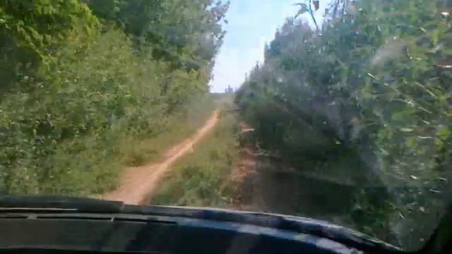 07.08.2013.Гмелинка ))))) смотреть онлайн