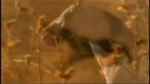 Arabat cavalo. A bela música de amor e ternura смотреть онлайн