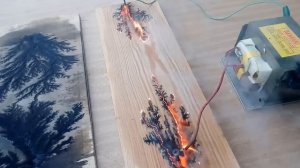 УЗОРЫ на дереве,  Lichtenberg paintings on wood,