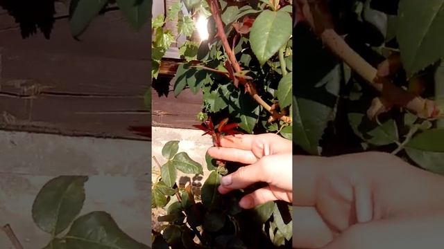 Строительные Путешествия