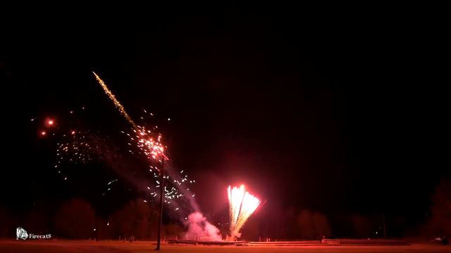 Booming Bulldog - Pro Comet Shells смотреть онлайн