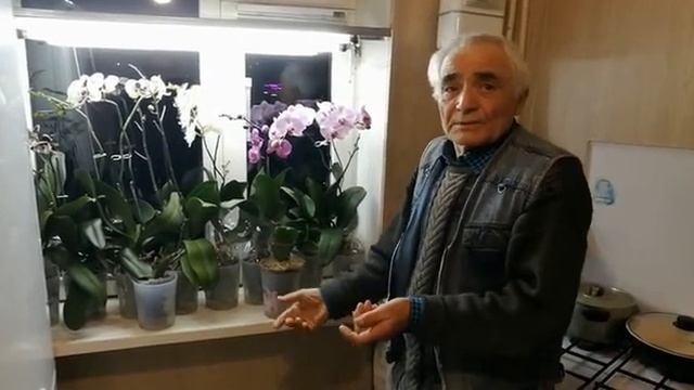 Как ухаживать и поливать орхидеи. СОРТОВЫЕ ОРХИДЕИ ПРОСТЕЙШИЙ УХОД и ДОЛГОЕ ЦВЕТЕНИЕ смотреть онлайн