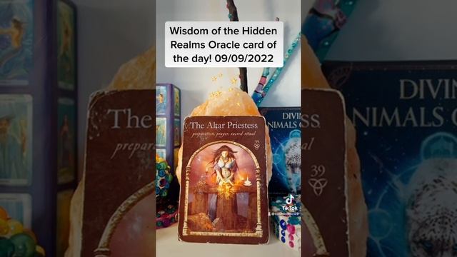 Wisdom of the hidden realms oracle card of the day! смотреть онлайн