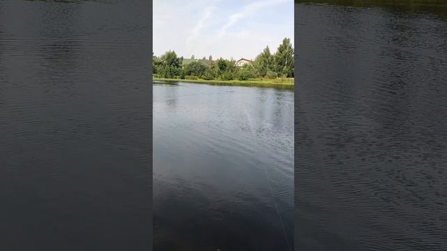 Рыбалка с лодки RC смотреть онлайн