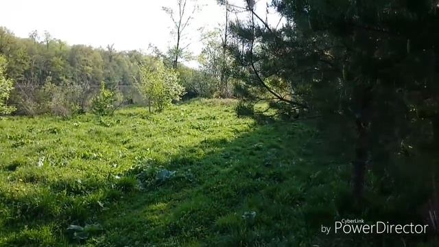 ВЕЛИКОЕ ПЕРЕСЕЛЕНИЕ/ЖАРА смотреть онлайн