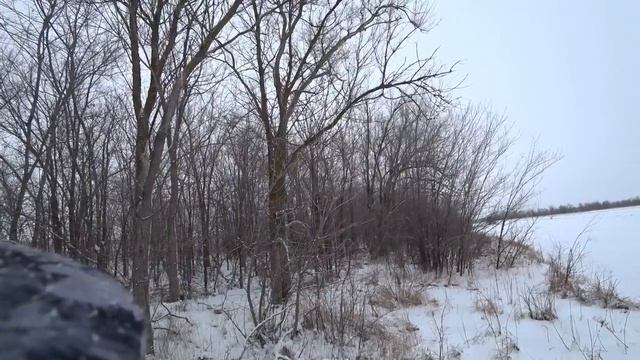 Охота на зайца с гончими 31 декабря 2018 г смотреть онлайн