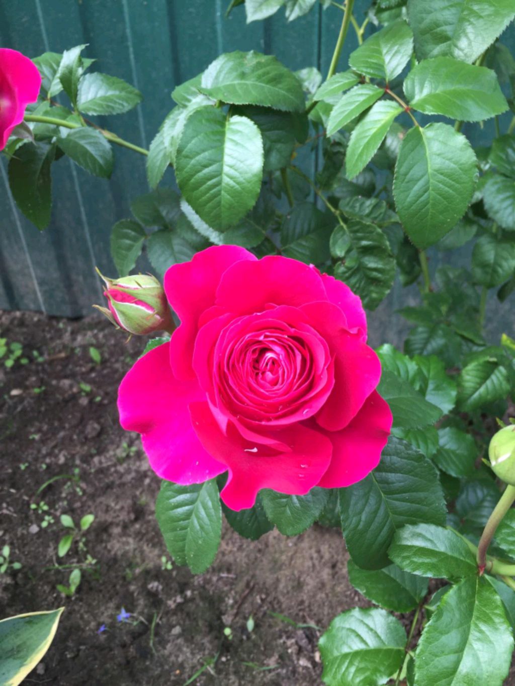 спалила своё имя смотреть онлайн