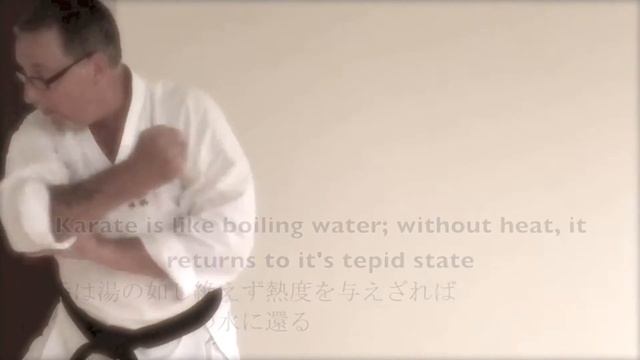 The 20 Guiding Precepts of Shotokan Karate-Do смотреть онлайн