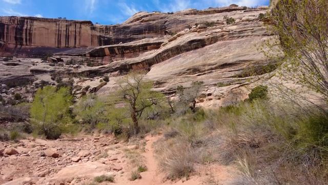 Natural Bridges National Monument, Utah, USA [Amazing Places 4K] смотреть онлайн