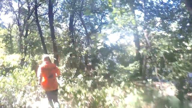 Wild River Race 2016 смотреть онлайн