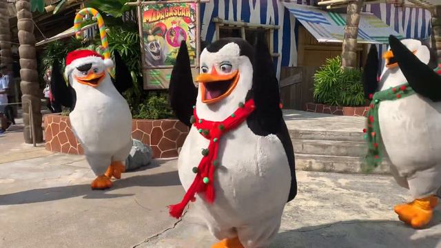 26Dec2019 15:50 Madagascar Christmas party penguins смотреть онлайн