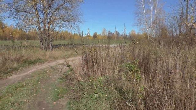 Пешком в Лавру (часть9). Уже совсем осень. Дошел до Хотьково смотреть онлайн