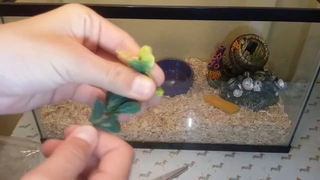 Setting up the mouse cage!! READ DESCRIPTION смотреть онлайн