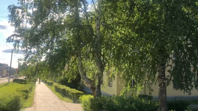 Фураж « Береза» смотреть онлайн