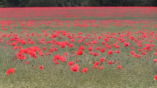 Greatest Classical Music Masterpieces Vol. II смотреть онлайн