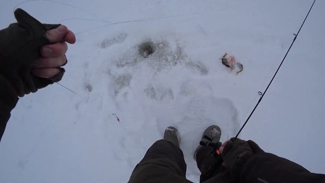 РЫБАЛКА НА БАЛАНСИР И МОРМЫШКУ В ГЛУХОЗИМЬЕ. рыбалка со льда смотреть онлайн