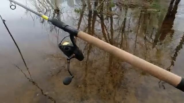 весна центр киева , потоп , фидер смотреть онлайн