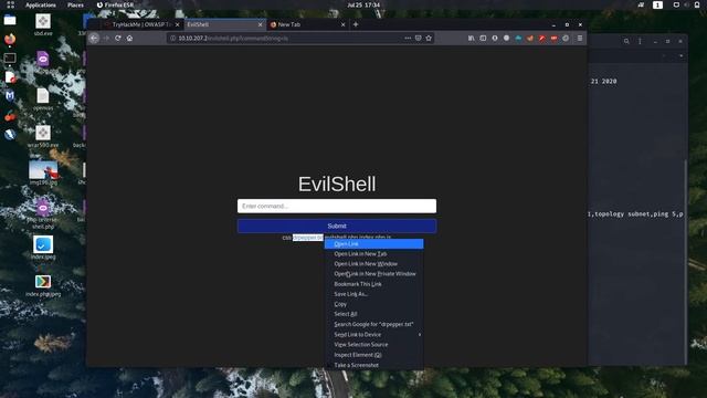 TryHackMe :DAY 1 of OWASP Top 10 Walkthrough ||Detailed|| смотреть онлайн