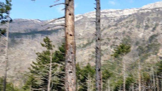 Крымские горы. Стильская тропа смотреть онлайн