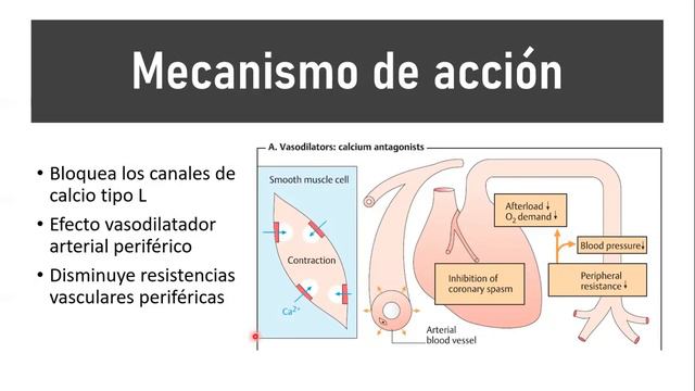 🔴 AMLODIPINO | PARA QUÉ SIRVE, MECANISMO DE ACCIÓN, EFECTOS SECUNDARIOS Y CONTRAINDICACIONES смотреть онлайн