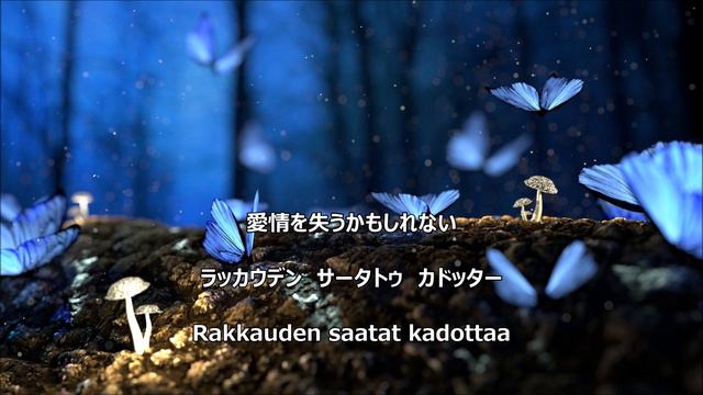 【和訳付き】蝶の夜（フィンランド音楽）【カナルビ付き】