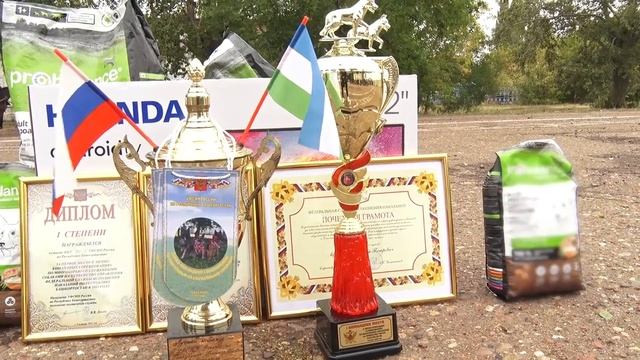 Соревнования кинологов УФСИН смотреть онлайн