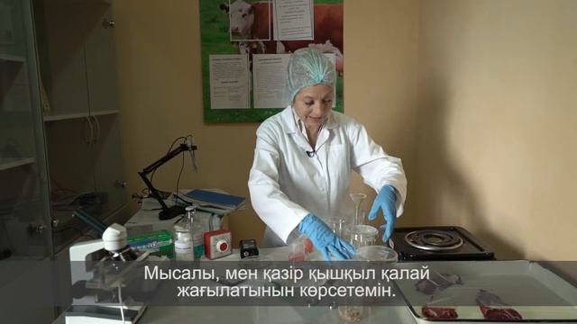 Оценка мясных качество туш смотреть онлайн