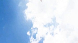 EasyFly 4 R/C Simulator From Ikarus, the German maker of Aerofly 5.7.