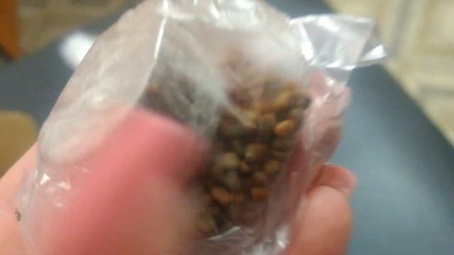 Чудо ягодница "Сказочный Сбор" ЭКО продукт. Действительно ли он сказочный?!Вся правда. смотреть онлайн