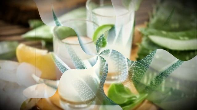 Вся правда об АЛОЭ: Польза, вред, правила применения - Полезные свойства алоэ смотреть онлайн