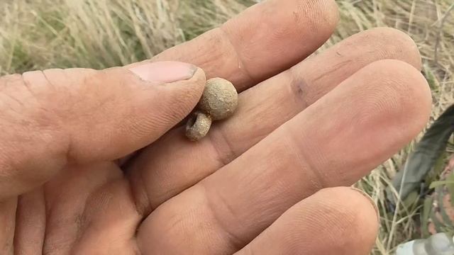 СЕРЕБРЯНАЯ МЕДАЛЬ ЗА УСЕРДИЕ - УСЕРДНОМУ КОПАТЕЛЮ! смотреть онлайн