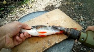 Чистка окуня дрелью