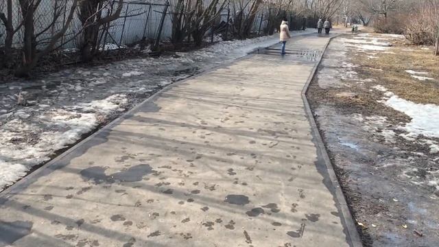 Дрессировка алабая. смотреть онлайн