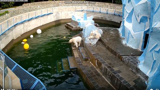 Вчера мама со мной не хотела так спать, а с братиком спит 15.05.2020 смотреть онлайн