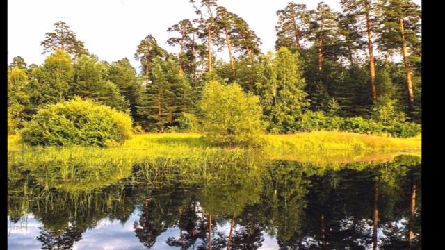 HOSPODSKÁ PÍSNIČKA z filmu Všichni dobří rodáci Svatopluk Havelka смотреть онлайн